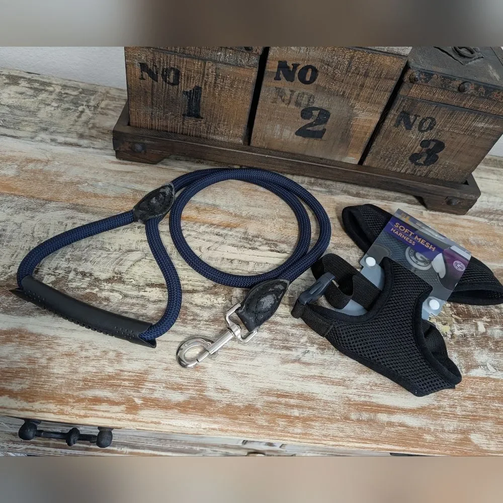 NOC Gooby Black Mesh Dog Harness and Leash